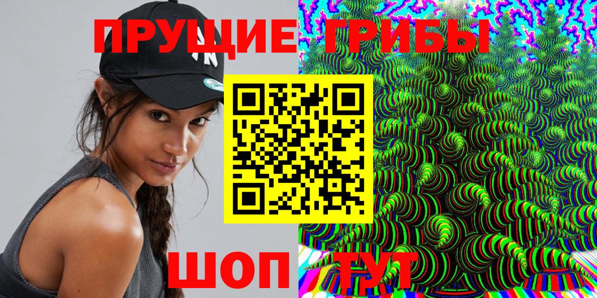Галлюциногенные грибы Psilocybine cubensis  Псилоцибиновые грибы мицелий  купить закладку  Вход с VPN  Малгобек 